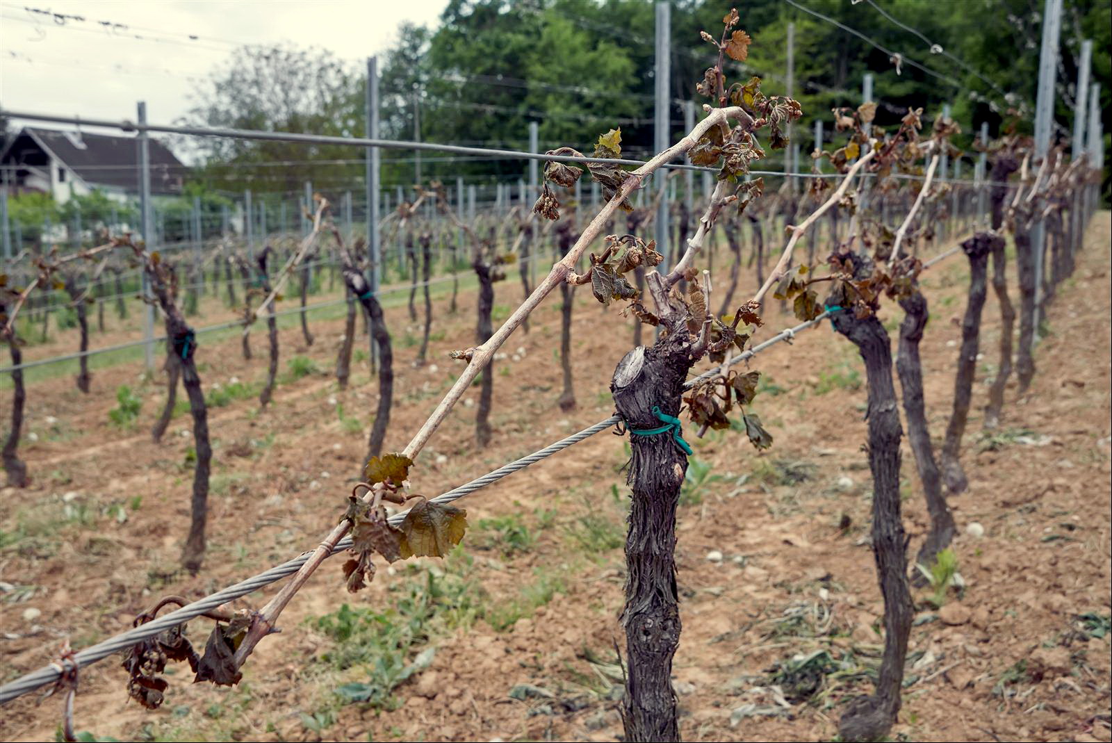Elementarna nepogoda-dodjela sredstava pomoći