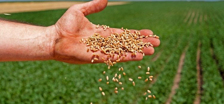 Otvoren natječaj za izbor najboljeg mladog poljoprivrednika ili poljoprivrednicu u Hrvatskoj